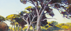 Coastal Pines II | 2016 | Oil on Canvas | 42 x 60 cm